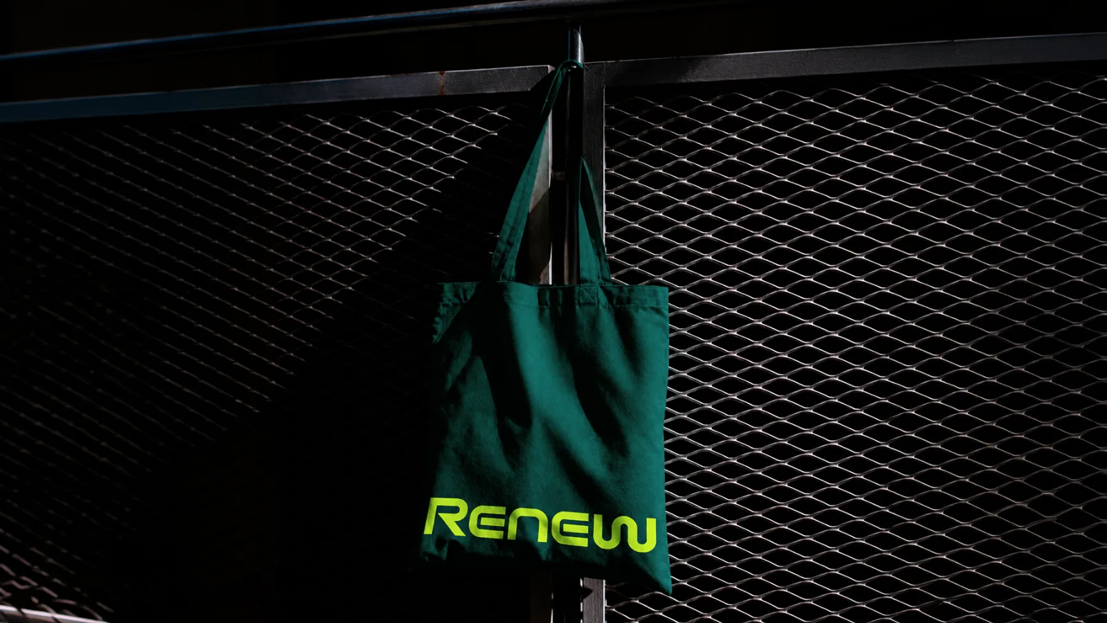 Manual de marca — Renew